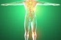 Tissues Of The Body | El Paso TX