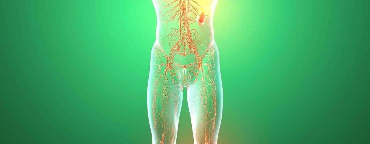 Tissues Of The Body | El Paso TX