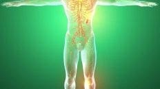 Tissues Of The Body | El Paso TX