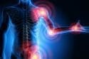Musculoskeletal System and Oxidative Stress EL Paso Tx