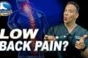 Low Back Pain