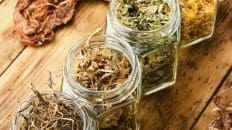 Herbal Therapy for Small Intestinal Bacterial Overgrowth